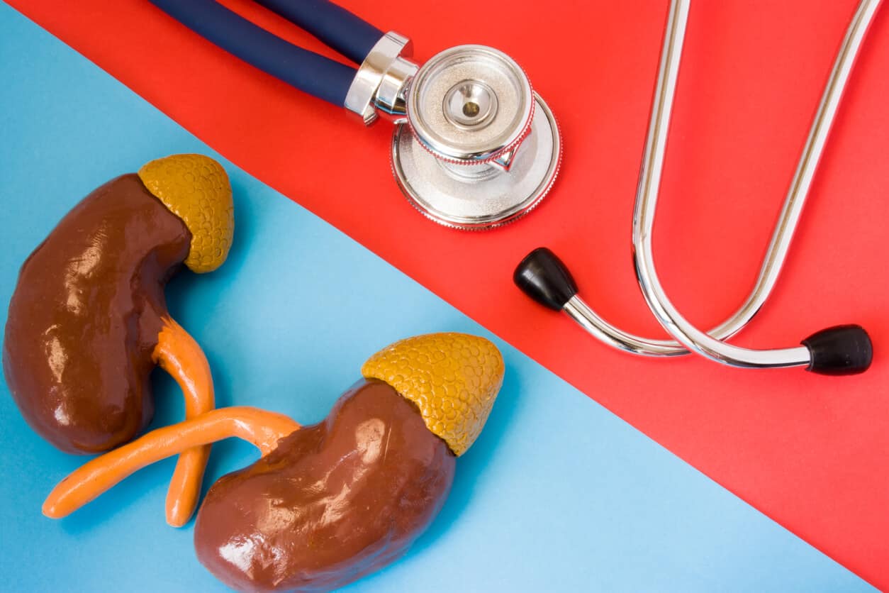 adrenal fatigue exist