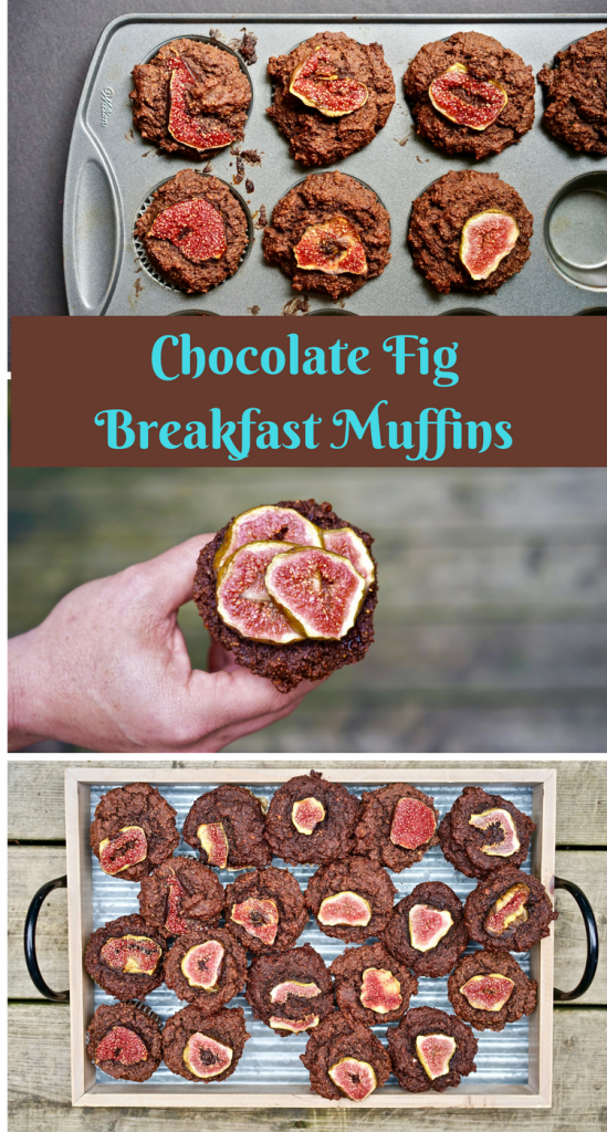 Chocolate Fig Breakfast Muffins