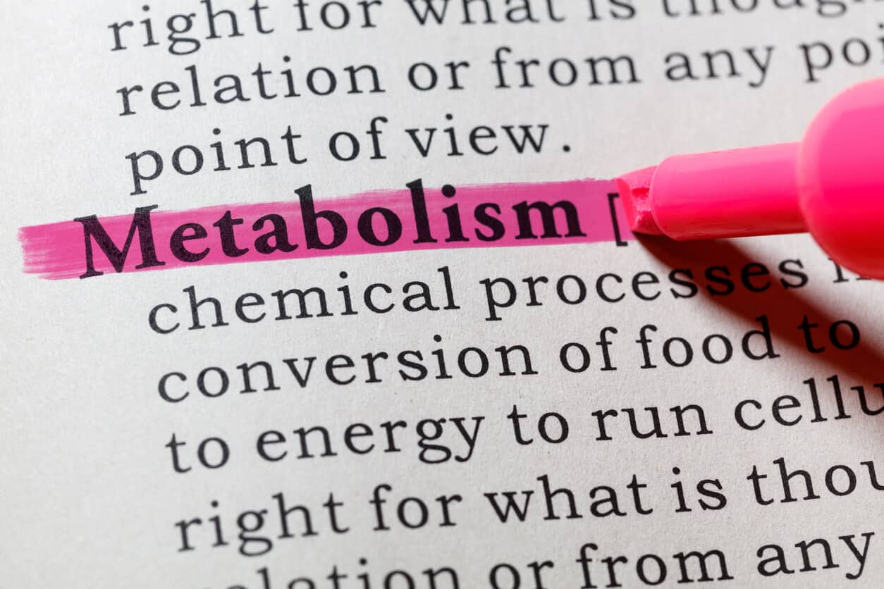 Metabolism booster