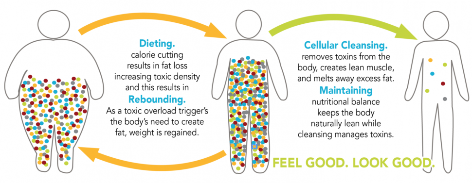 Arbonne Fizz Sticks Comparison Chart