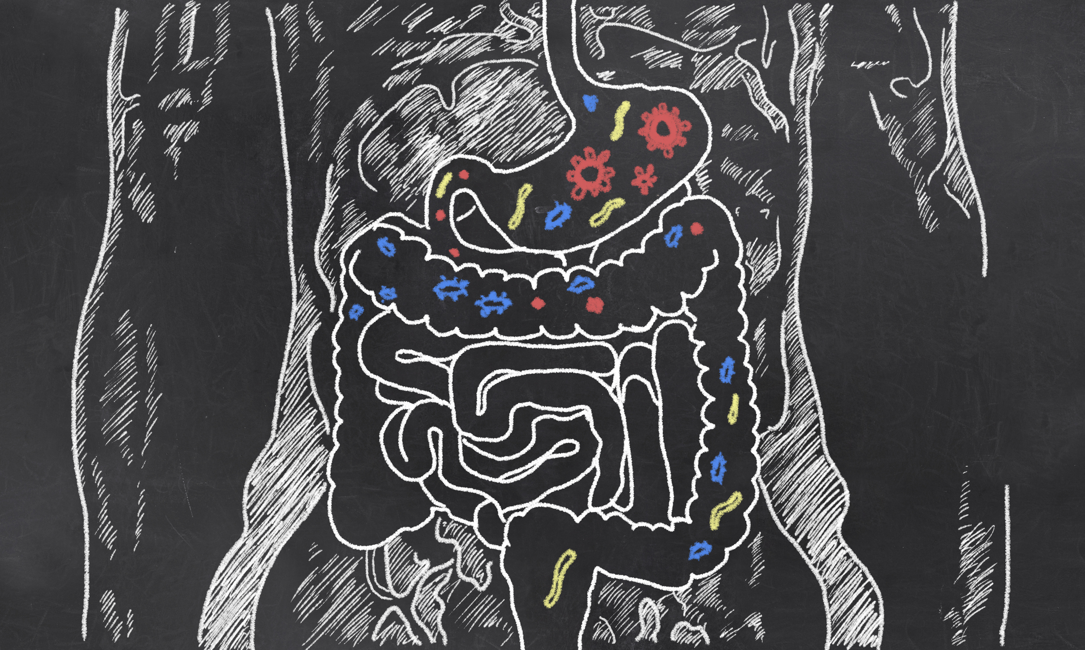 Myth or Truth: What Is ‘Leaky Gut?’ Is It Real?