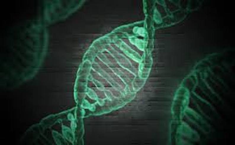 (Diet Review) DNA Diets: Cutting Edge Science, or Just Entertainment?