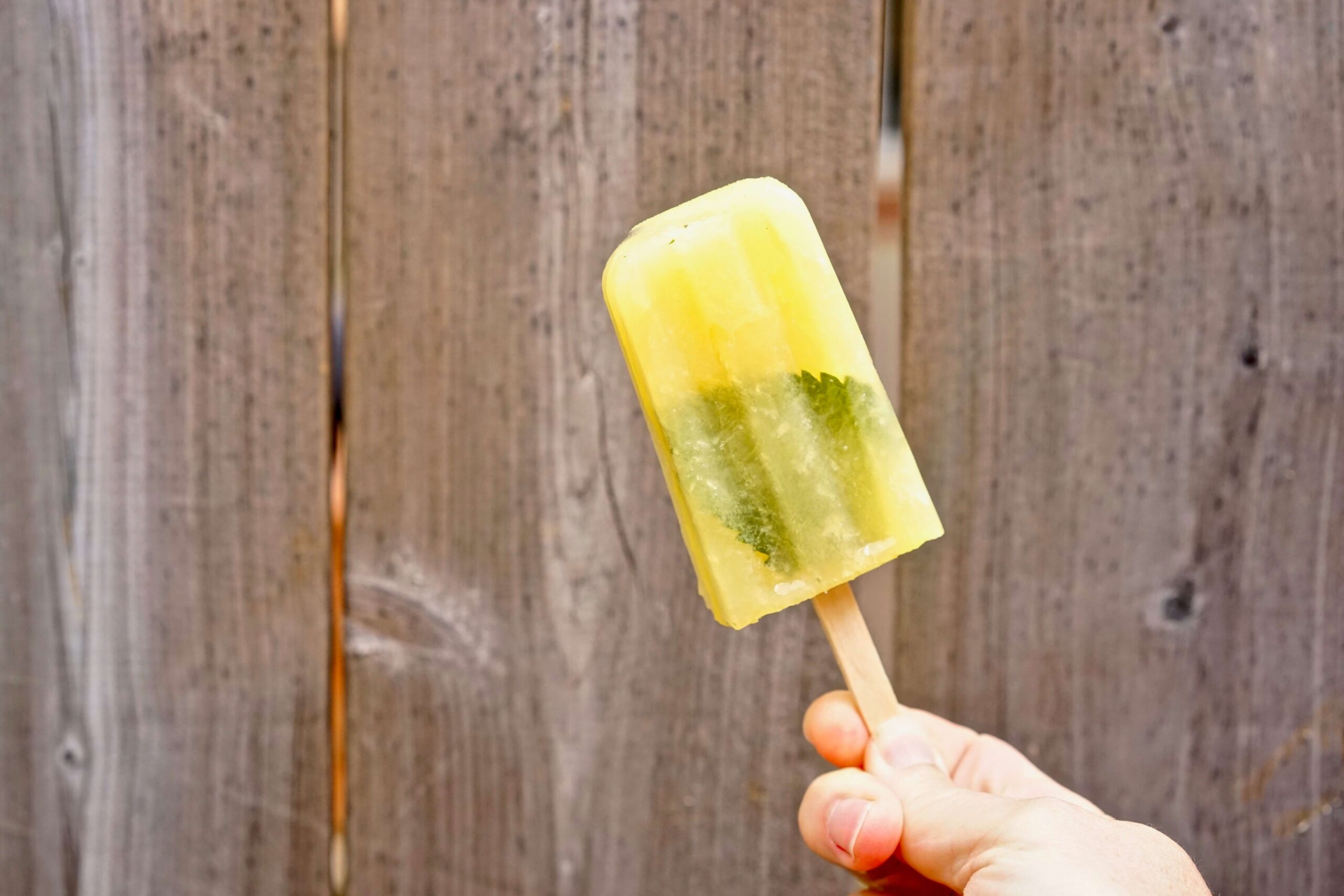 Boozy popsicles