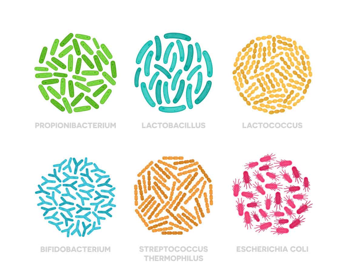 take probiotics