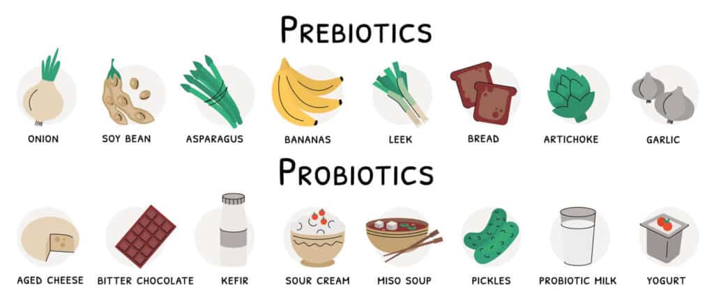 what are prebiotics
