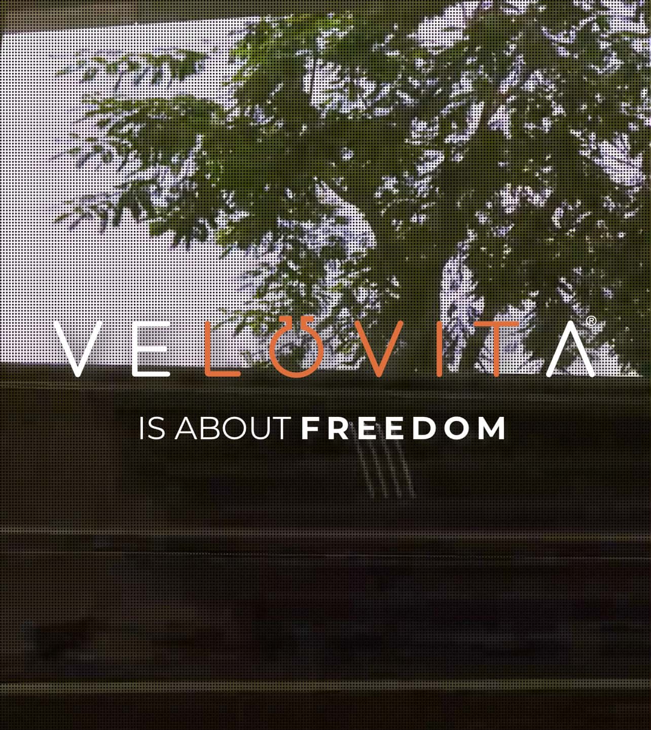 velovita snaps