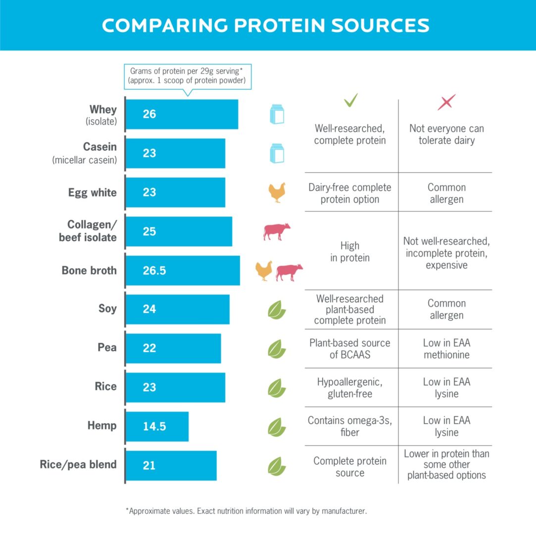 Which Protein Powder Should You Choose? Some Things to Consider.