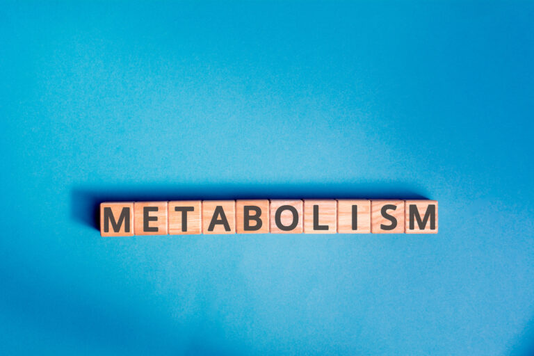 Metabolic Balance Review – How Does Diet Affect Metabolism?