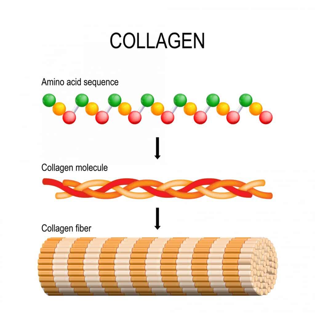 collagen benefits