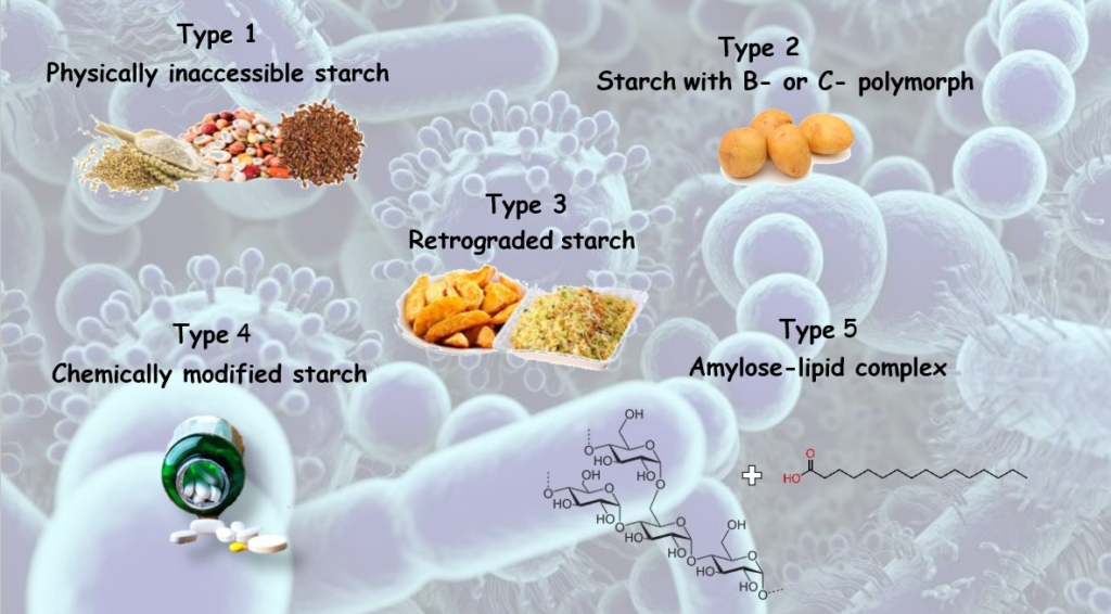 resistant starch 